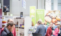Mischbaustand mit vollflächigen Digitaldrucken.