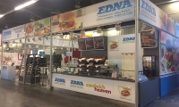 Edna - Hoga 2017