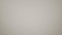 PVC 820 platin