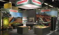 Gelsenrot Galabeu - Nürnberg